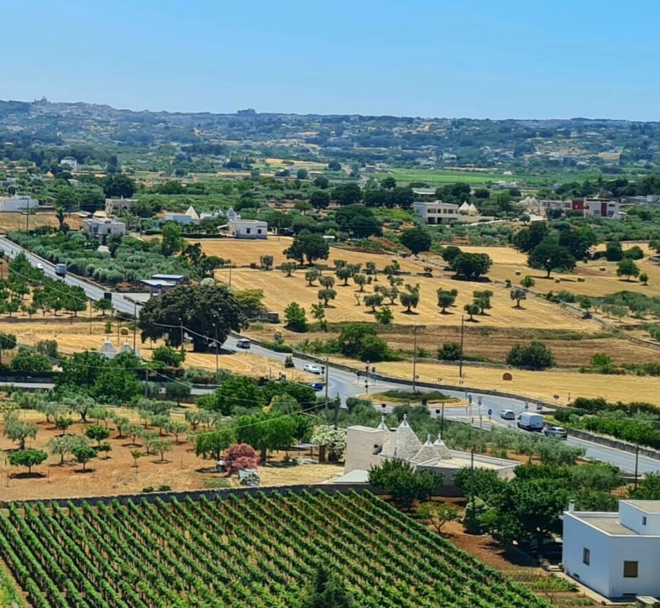 Vista su vigne, ulivi e trulli dal "lungomare" di Locorotondo