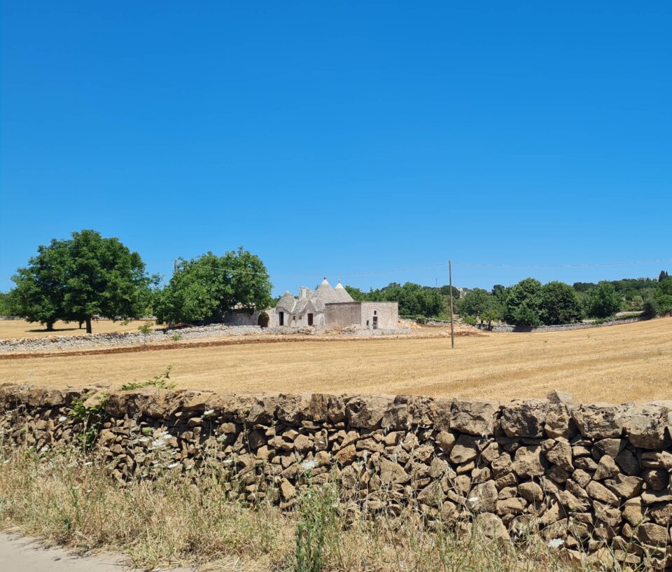 Vista con trullo nelle campagne circostanti Cisternino