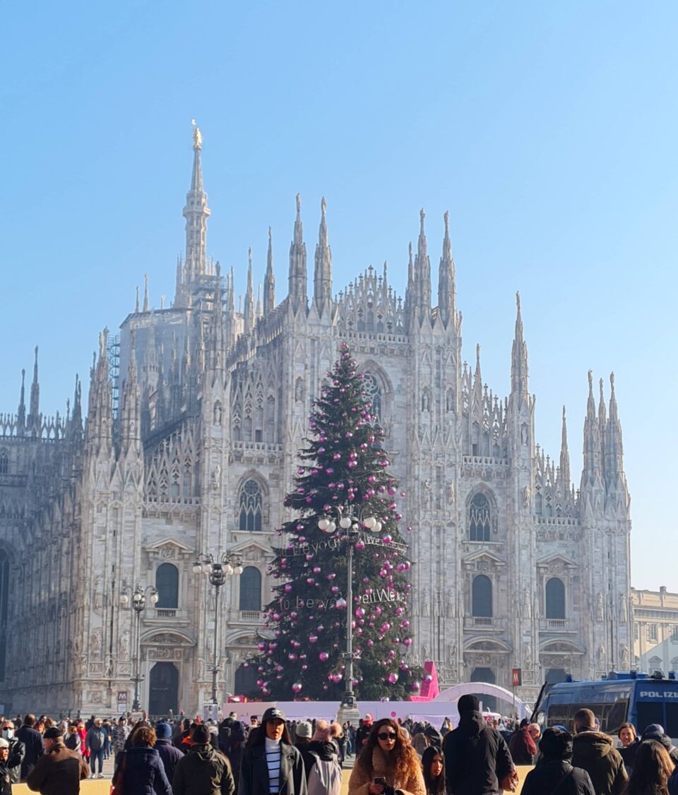 Il grande albero in Piazza Duomo a Milano