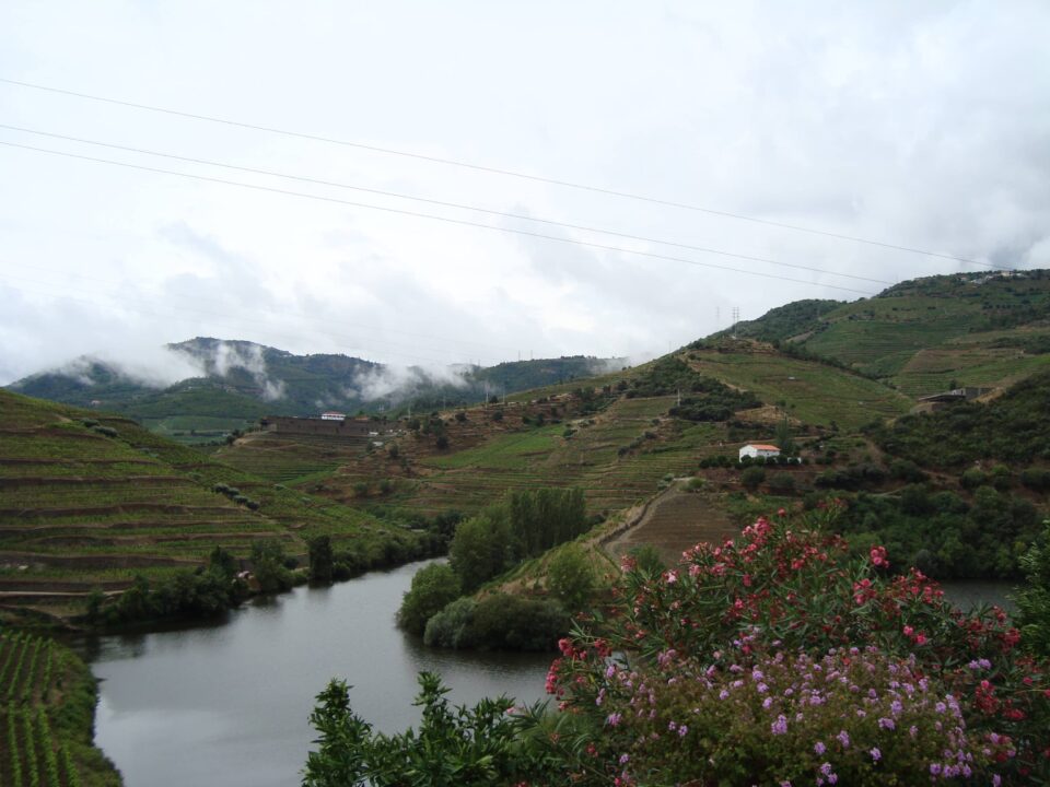 Le colline terrazzate a vigneto nella Valle del Douro