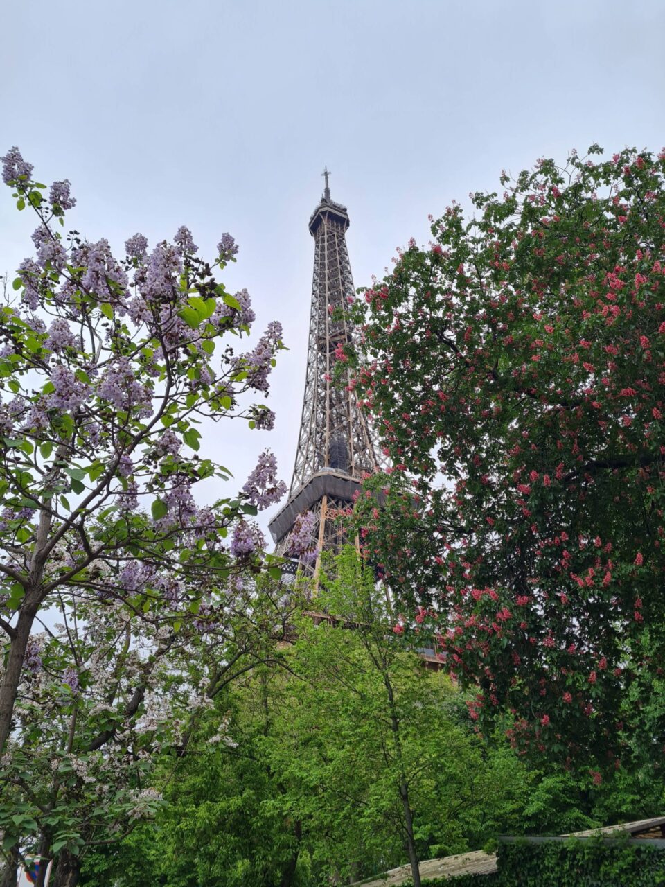 Un'immagine da cartolina della Tour Eiffel di Parigi, una vista da ammirare dal proprio albergo