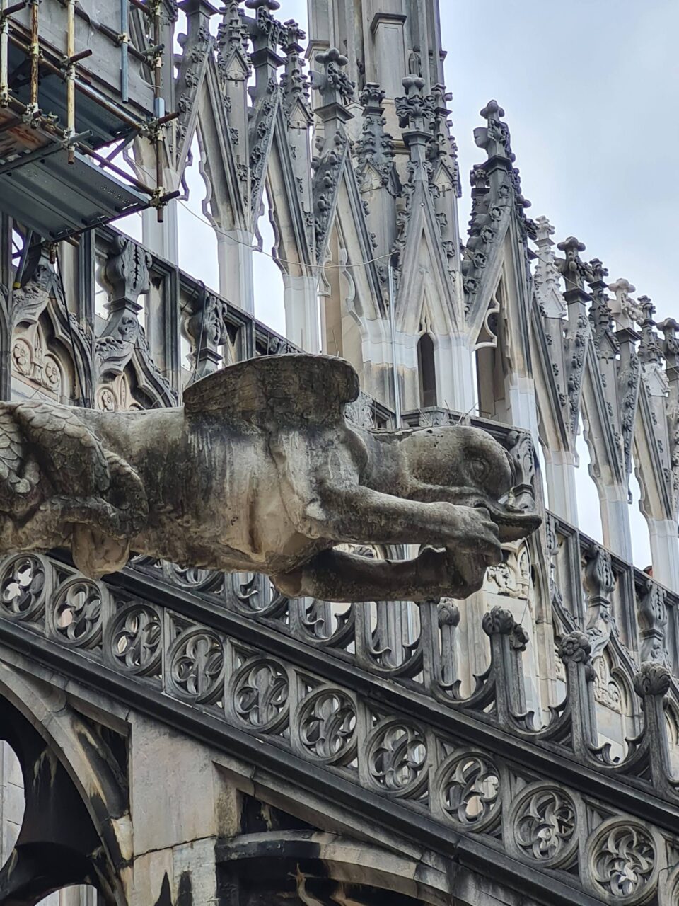 Se la Cattedrale di Notre Dame è ancora sottoposta a ristrutturazione durante il vostro viaggio a Parigi coi bambini, potete sempre consolarvi andando a vedere le buffe e un po' inquietanti gargoyle del Duomo di Milano!