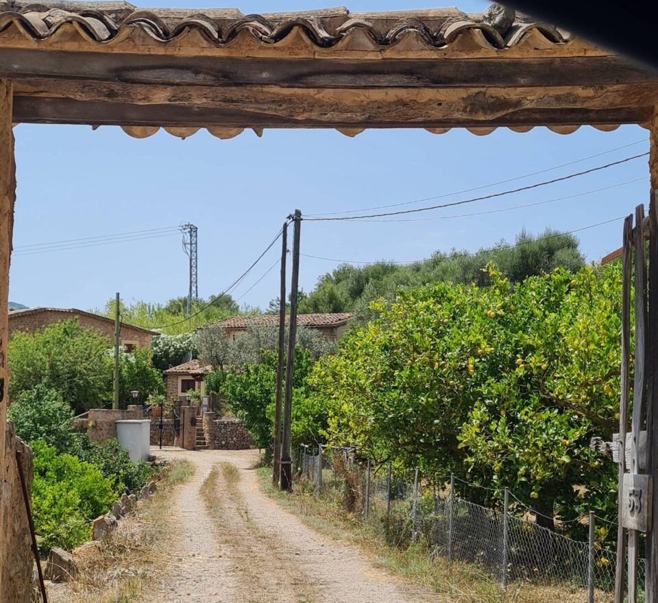 Campagne con aranceti nella valle di Soller a Maiorca